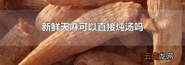 新鲜天麻可以直接炖汤吗
