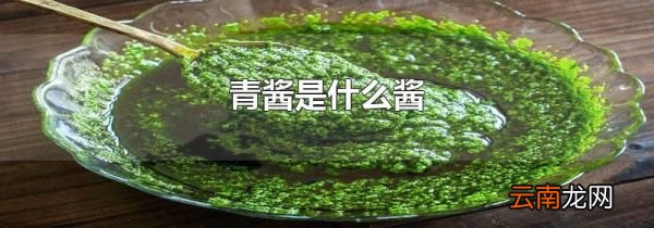青酱是什么酱