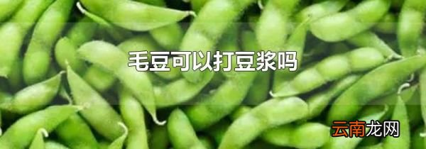 毛豆可以打豆浆吗