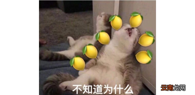 柠檬是什么梗？