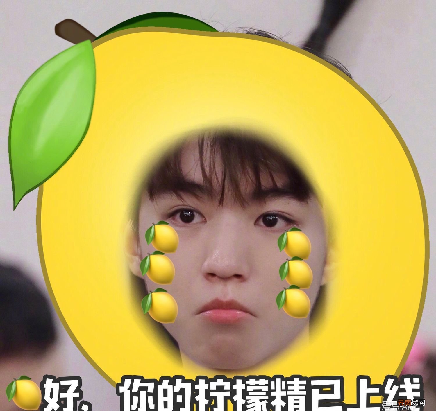柠檬是什么梗？