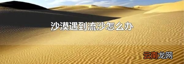 沙漠遇到流沙怎么办