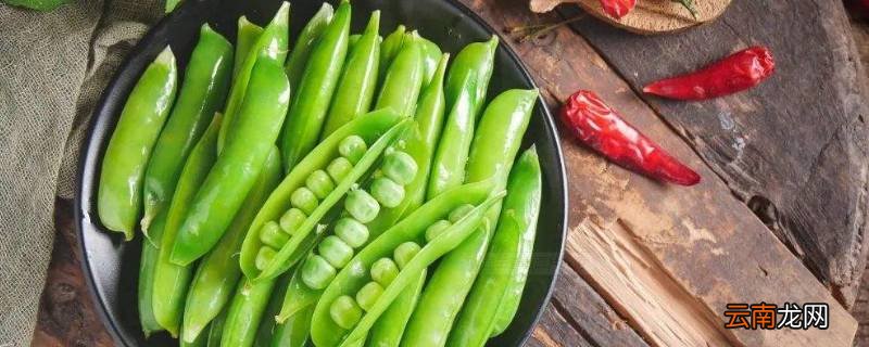 麦豆是豌豆吗