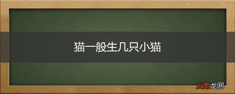 猫一般生几只小猫