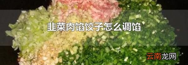 韭菜肉馅饺子怎么调馅