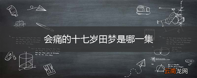 会痛的十七岁田梦是哪一集