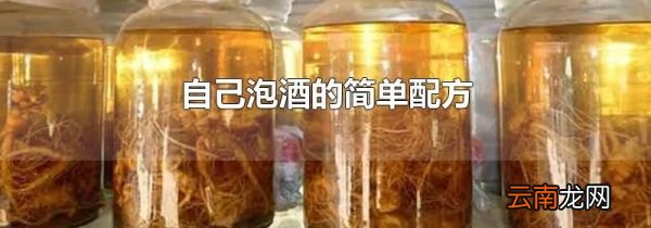 自己泡酒的简单配方