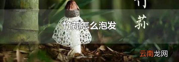 竹荪怎么泡发