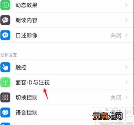 苹果手机开启注视感知功能的方法