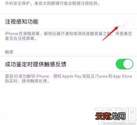 苹果手机开启注视感知功能的方法