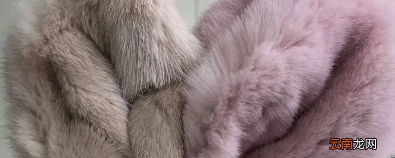 貂皮水洗缩水变硬怎么恢复