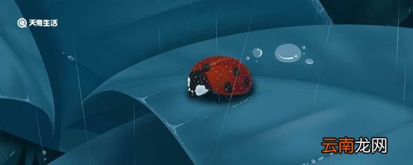 为什么有些昆虫在寒冷的冬天冻不死 有些昆虫为什么在寒冷的冬天冻不死