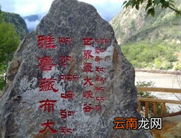 世界上海拔最高的峡谷是什么？