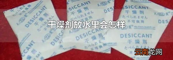 干燥剂放水里会怎样