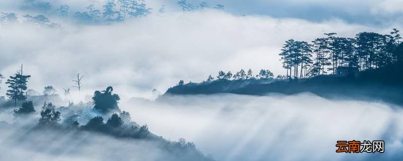 冬天什么情况下会起雾