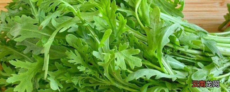 鹅菜又叫什么菜