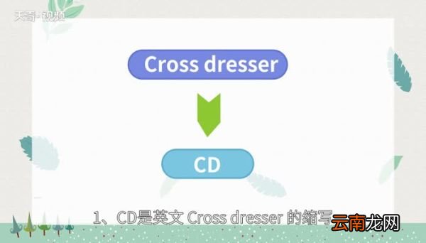 cd是什么意思cd的意思