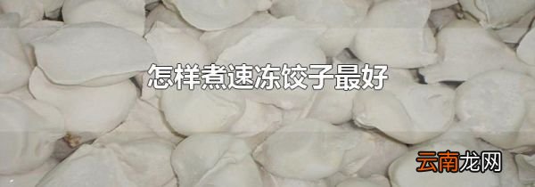 怎样煮速冻饺子最好