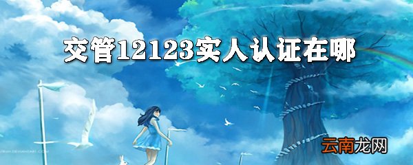 交交管12123怎么实人认证？交管12123实人认证方法分享
