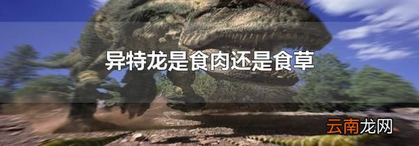 异特龙是食肉还是食草