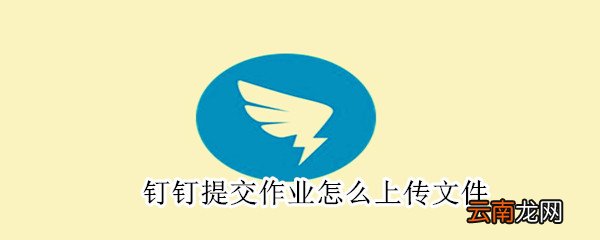 钉钉提交作业怎么上传文件