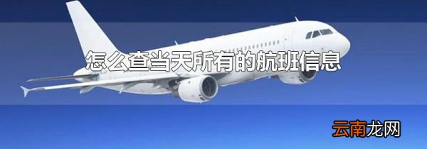 怎么查当天所有的航班信息