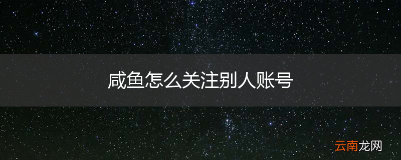 咸鱼怎么关注别人账号