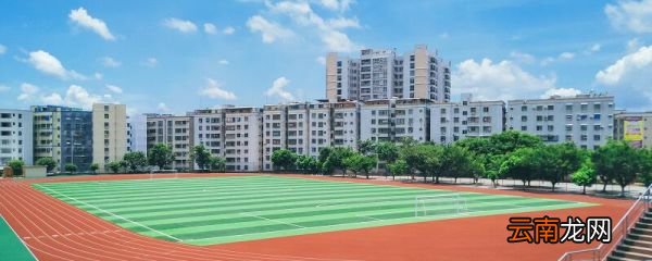 高中学籍在哪查询 高中学籍信息怎么查询