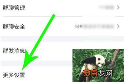 如何禁用钉钉的圈子