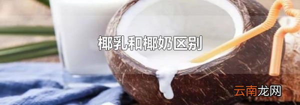 椰乳和椰奶区别