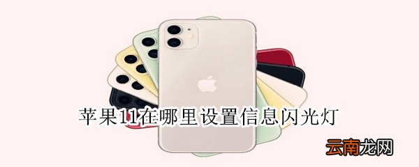 苹果11在哪里设置信息闪光灯