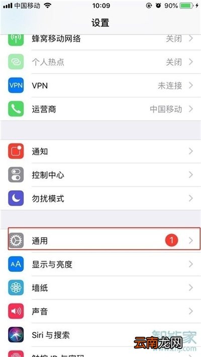 苹果11在哪里设置信息闪光灯