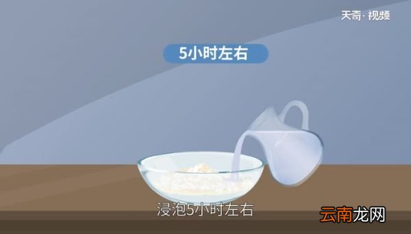 包粽子糯米泡几个小时 包粽子糯米泡多长时间