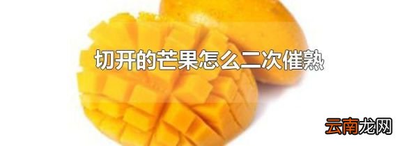 切开的芒果怎么二次催熟