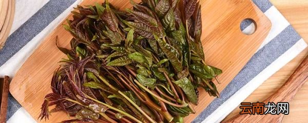 香椿芽的腌制方法 腌制香椿芽一定要焯水吗