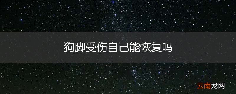 狗脚受伤自己能恢复吗