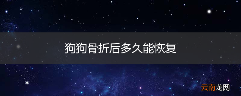 狗狗骨折后多久能恢复