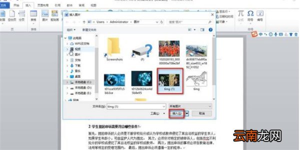 word怎么插图进去