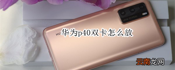 华为p40双卡怎么放