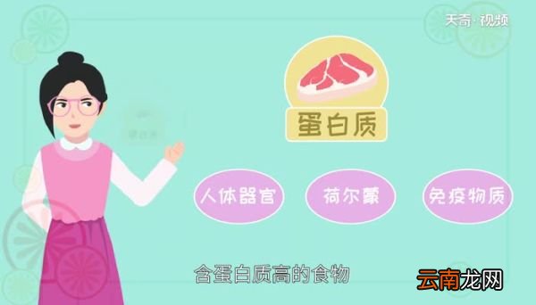 蛋白质含量高的食物 有哪些食物蛋白质含量高