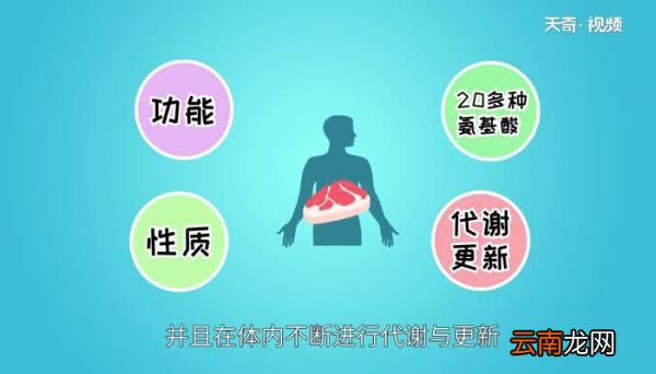蛋白质含量高的食物 有哪些食物蛋白质含量高