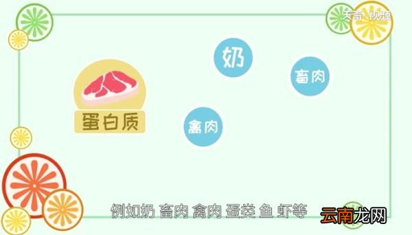 蛋白质含量高的食物 有哪些食物蛋白质含量高