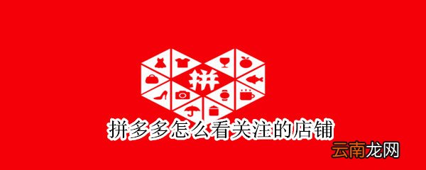 拼多多怎么看关注的店铺