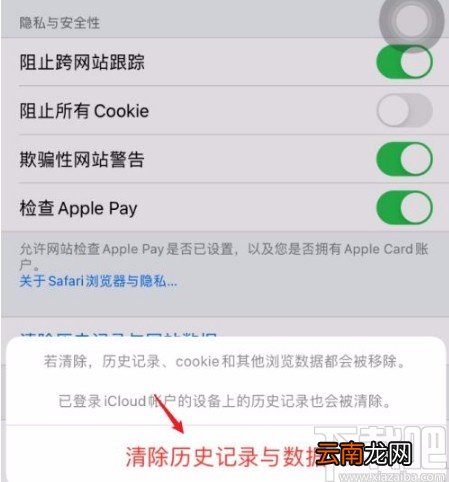 苹果手机清除Safari浏览器历史记录的方法