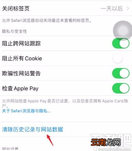 苹果手机清除Safari浏览器历史记录的方法