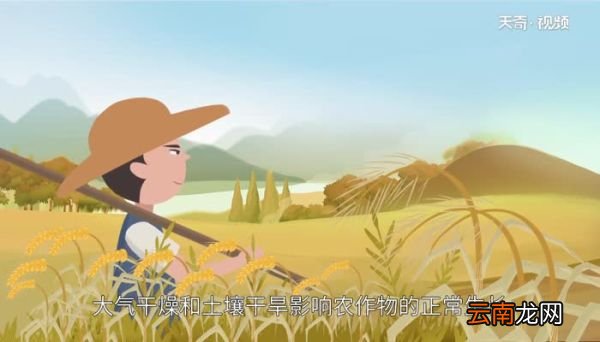 立夏节气特点 立夏的气候有什么特点