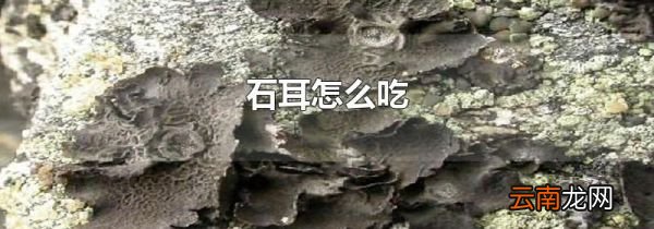 石耳怎么吃