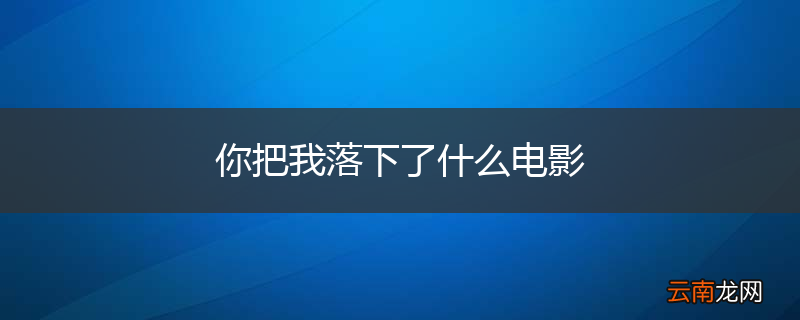 你把我落下了什么电影