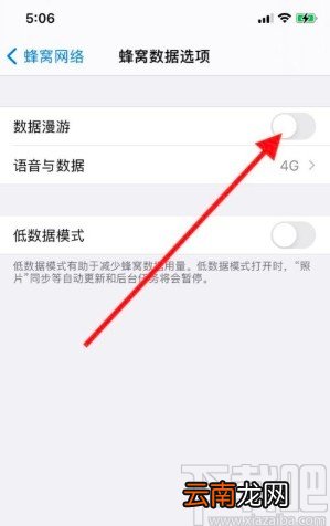 iPhone11关闭数据漫游的方法