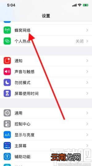 iPhone11关闭数据漫游的方法